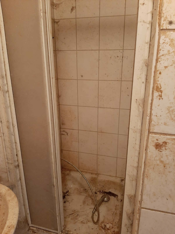 Messie-Wohnung Dusche geräumt